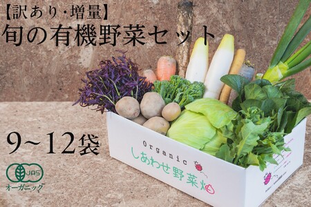 【毎月定期便】【フードロス対応・規格外野菜利用】有機野菜　シェフLセット　オーガニック野菜全6回 7096