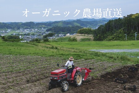 【毎月定期便】【フードロス対応・規格外野菜利用】有機野菜　シェフLセット　オーガニック野菜全6回 7096