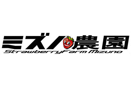 静岡県掛川産　ミズノ農園の完熟いちじく【桝井ドーフィン】DXパック 500g×2パック  無花果 イチジク 6837