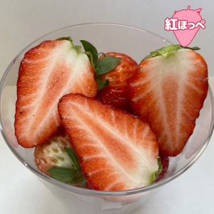 【年内お届け】紅ほっぺ 約560g  | ふるなび限定いちご FN-Limited-SP 6889●