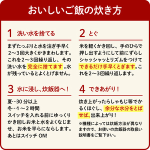 【令和7年産新米】 米 白米 ミルキークイーン 5kg | 米