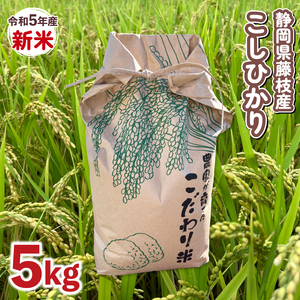 コシヒカリ 新米 5kg 令和5年産 静岡県産 藤枝産 精米 お米 米 ご飯