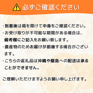 訳あり 家庭用 青島 みかん 10kg 果物 国産 フルーツ 柑橘 蜜柑 大きさ