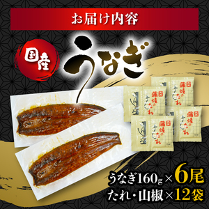 国産 160g 蒲焼 うなぎ 6尾 鰻 鰻