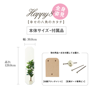 壁掛け ミラー かがみのカタチ 姿見八角 インテリア 壁掛けミラー