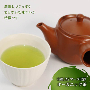 煎茶 全3回定期便 茶葉 500g 有機煎茶