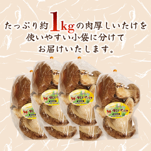 しいたけ 小分け 袋 約1kg しいたけ