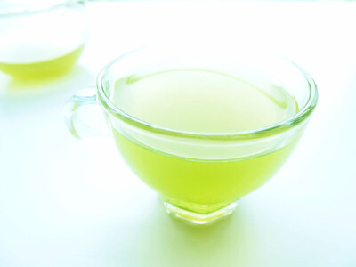 お茶 煎茶ティーバッグ 30包 3袋セット 有機農家 静岡県産 お茶 