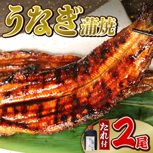 うなぎ 大姿焼き 140g 2尾 鰻 鰻
