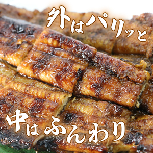 うなぎ 大姿焼き 140g 2尾 鰻 鰻