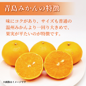 【2026年1月上旬】先行予約 訳あり みかん 5kg L〜2L 【静岡】 / 青島 ミカン 果物 国産  青島みかん フルーツ 柑橘 数量 限定 マルチ栽培 蜜柑 大小 ミックス 不揃い ビタミン