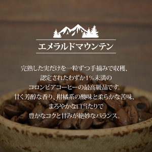 コーヒー豆 【計400g】 2種  コーヒー豆