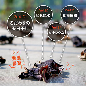 きくらげ 乾燥 丸干し 25g × 4袋 国産 きくらげ