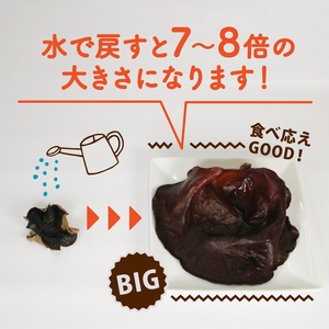 きくらげ 乾燥 丸干し 25g × 4袋 国産 きくらげ