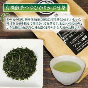 お茶 3種セット 計280g 煎茶 玄米茶 お茶