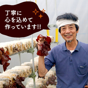 きくらげ 乾燥 スライス 25g×4袋  乾燥きくらげ