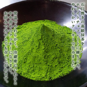 深蒸し茶 ティーバッグ 20袋 クッキー 8枚 抹茶 チョコ ななや