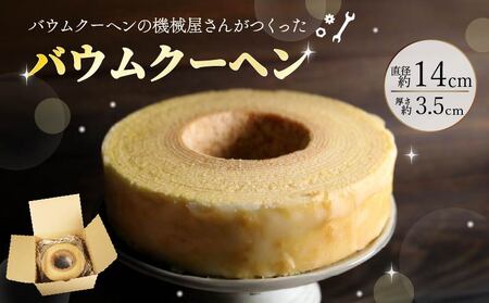 バウムクーヘン プレーン 1個 バウムクーヘン