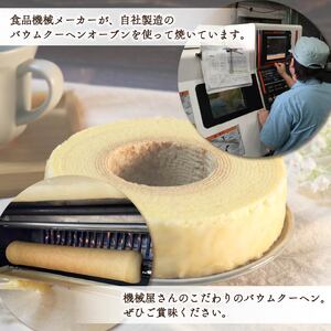 バウムクーヘン プレーン 1個 バウムクーヘン