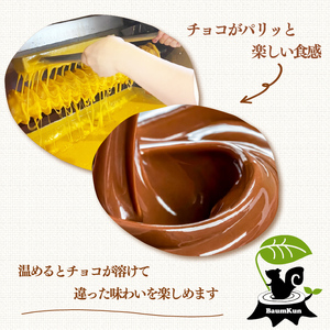 バームクーヘン チョコバナナ もっちり バウムクーヘン