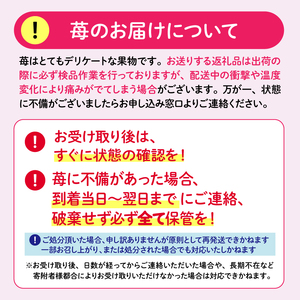 いちご  2026年3月から5月発送 3ヶ月 定期便 大粒 24～30粒 あきひめ 紅ほっぺ かおりの きらぴ香 いちご