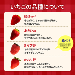 いちご 先行予約：2026年3月発送 大粒 24～30粒 あきひめ 紅ほっぺ かおりの きらぴ香 いちご