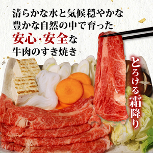 牛肉 肩ロース 520g 黒毛和牛 すき焼き すき焼き
