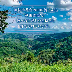 牛肉 黒毛和牛 ロースステーキ 360g ステーキ 和牛 静岡県産 A4 A5ランク