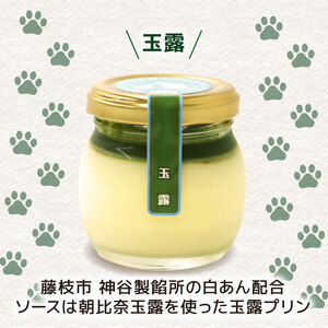 玉露ぷりん 6個セット 玉露
