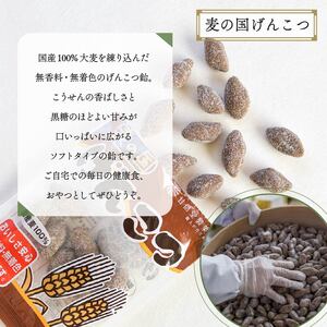 飴 げんこつ 飴 10袋 あめ
