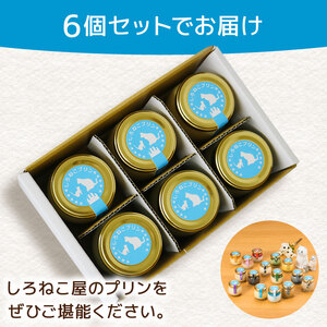 プリン 季節のプリン おまかせ 6個セット_ oo-004