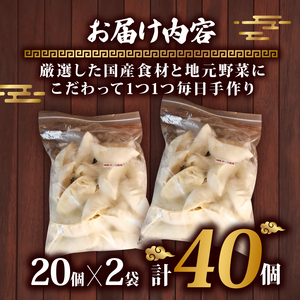 【オンライン決済限定】 冷凍 餃子 40個 国産 香味 野菜 おつまみ 惣菜 中華 ラーメン おかず ビール ランキング 弁当 簡単調理 | 餃子 餃子 餃子 餃子