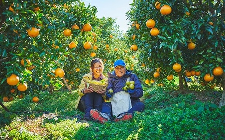 クラフト コーラ シロップ 希釈タイプ 250ml ベルガモット フレーバー 飲み物 ギフト 飲料 藤枝市 静岡県 |