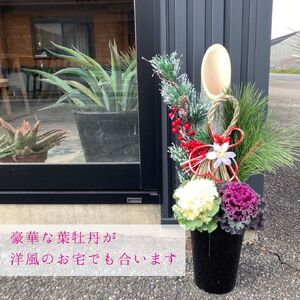 【先行予約】 門松 ミニ 寄植え 6号 ロング 鉢入り お正月 迎春 新春 福 豪華 竹 生竹 シンプル 葉牡丹 葉ボタン 和 洋 2025年12月中旬より順次発送 オンライン決済限定