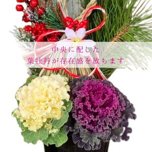 【先行予約】 門松 ミニ 寄植え 6号 ロング 鉢入り お正月 迎春 新春 福 豪華 竹 生竹 シンプル 葉牡丹 葉ボタン 和 洋 2025年12月中旬より順次発送 オンライン決済限定