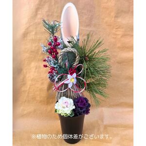 【先行予約】 門松 ミニ 寄植え 6号 ロング 鉢入り お正月 迎春 新春 福 豪華 竹 生竹 シンプル 葉牡丹 葉ボタン 和 洋 2025年12月中旬より順次発送 オンライン決済限定