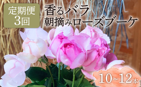 【3ヶ月定期便】 バラ 花束 ブーケ 朝摘み 3種類 薔薇 花 ばら パフューム ローズ 生花 ギフト 花 プレゼント 祝い 母の日 卒業式 贈り物 贈答 記念日 香り 静岡県 藤枝市 | バラ バラ バラ バラ