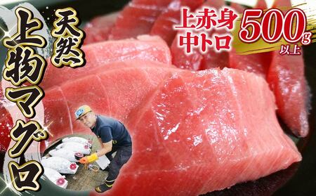 上物マグロ 天然2種 500g以上 まぐろ【oo-001】