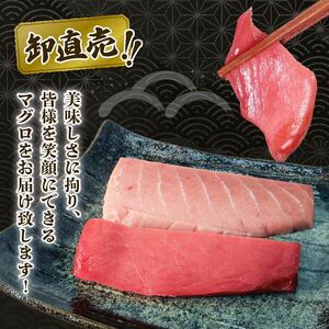 上物マグロ 天然2種 500g以上 まぐろ【oo-001】