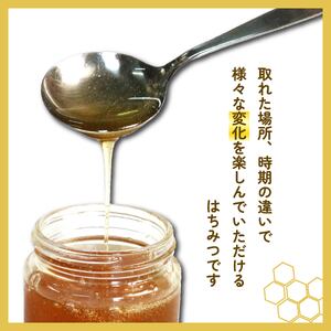 国産 はちみつ 500g 1本 するが はちみつ 百花蜜