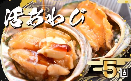 活あわび 5個セット