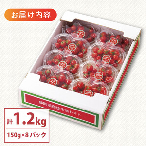 ミニトマト プチルージュ 約1.2kg トマト