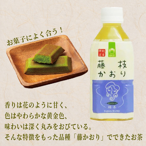 お茶 ペットボトル 緑茶 藤枝かおり 350ml×24本  お茶
