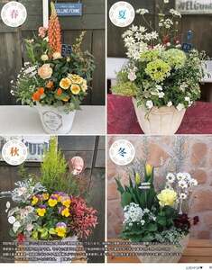 【年4回定期便】 花 テラコッタ 寄せ植え 季節 花苗 おまかせ ガーデニング フラワー インテリア 庭 定期便 頒布会 |    