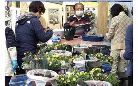 【年4回定期便】 花 テラコッタ 寄せ植え 季節 花苗 おまかせ ガーデニング フラワー インテリア 庭 定期便 頒布会 |    