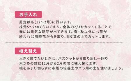 【全4回定期便】 花 ウェルカム レンゲローズ リング  オンライン決済限定 花 花