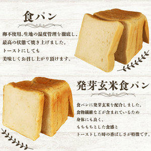 【全3回定期便】 食パン 5種セット パンパンパンパンパン -0100