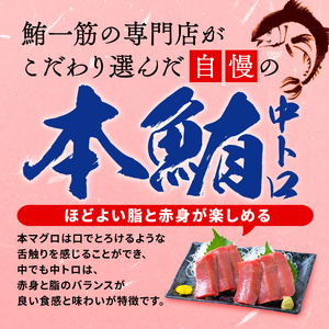 【オンライン決済限定】 【2024年年内発送】 訳あり 本まぐろ 中とろ 刺身用 約400g 年内配送 不定型柵 本鮪 まぐろ 中トロ 解凍 鮪 漬け マグロ ユッケ 海鮮 本マグロ