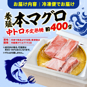 【オンライン決済限定】 【2024年年内発送】 訳あり 本まぐろ 中とろ 刺身用 約400g 年内配送 不定型柵 本鮪 まぐろ 中トロ 解凍 鮪 漬け マグロ ユッケ 海鮮 本マグロ