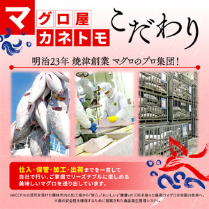 【オンライン決済限定】 【2024年年内発送】 訳あり 本まぐろ 赤身 約500g 不定型柵 本鮪 まぐろ 赤身 解凍 鮪 漬け マグロ ユッケ 海鮮 本マグロ